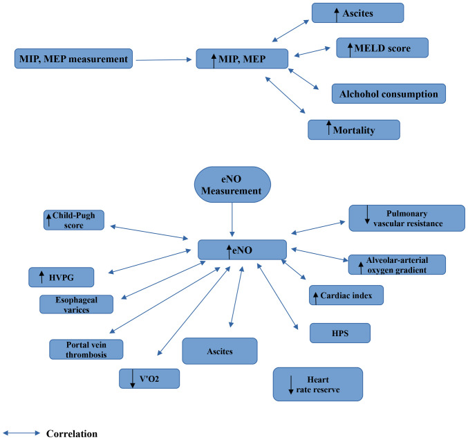 Pulmonary function testing in patients with liver cirrhosis (Review).