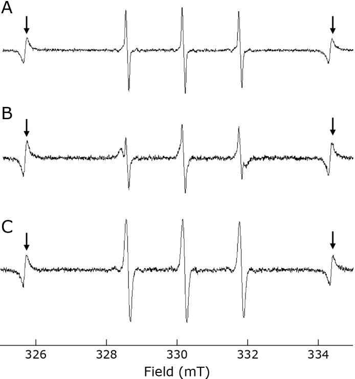 Evaluation of cold atmospheric pressure plasma irradiation of water as a method of singlet oxygen generation.