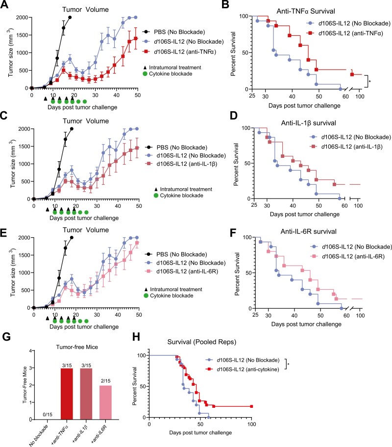 Blockade of innate inflammatory cytokines TNF<b>α</b>, IL-1<b>β</b>, or IL-6 overcomes virotherapy-induced cancer equilibrium to promote tumor regression.