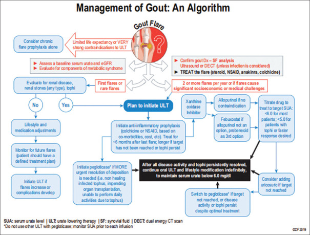 The inflammation process of gout arthritis and its treatment.