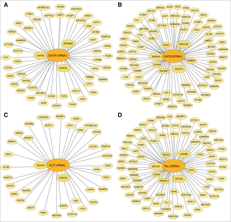 Post-transcriptional regulation of erythropoiesis.