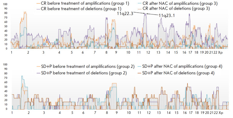 CNA Landscape of HER2-Negative Breast Cancer in Anthracycline-Based Neoadjuvant Chemotherapy Regimens.