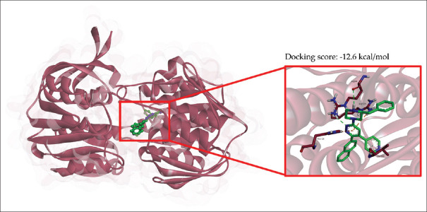 Probing antibacterial drugs for <i>Fusobacterium nucleatum</i> subsp. <i>nucleatum</i> ATCC 25586 targeting UDP-N-acetylglucosamine 1-carboxyltransferase.