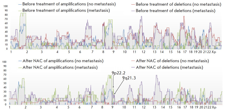 CNA Landscape of HER2-Negative Breast Cancer in Anthracycline-Based Neoadjuvant Chemotherapy Regimens.