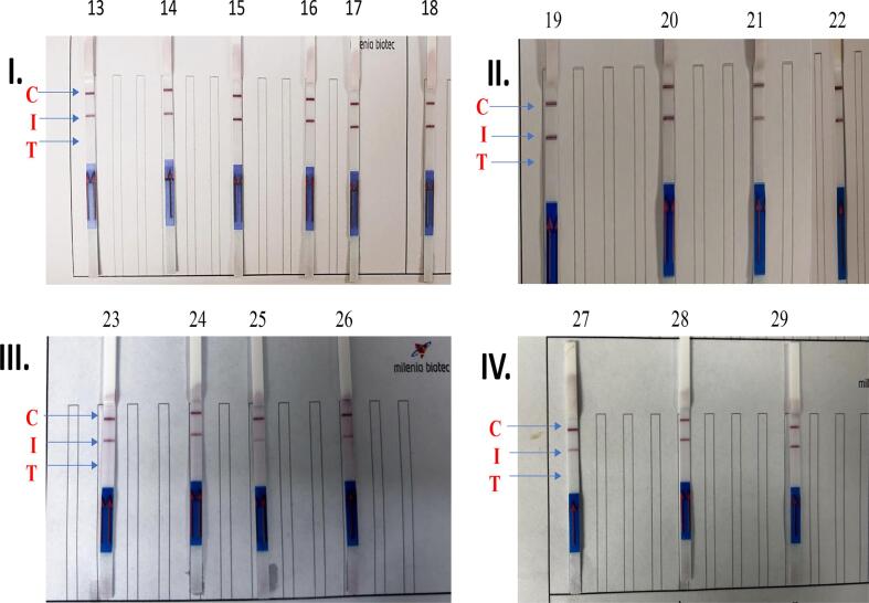 Rapid PCR-lateral flow assay for the onsite detection of Atlantic white shrimp