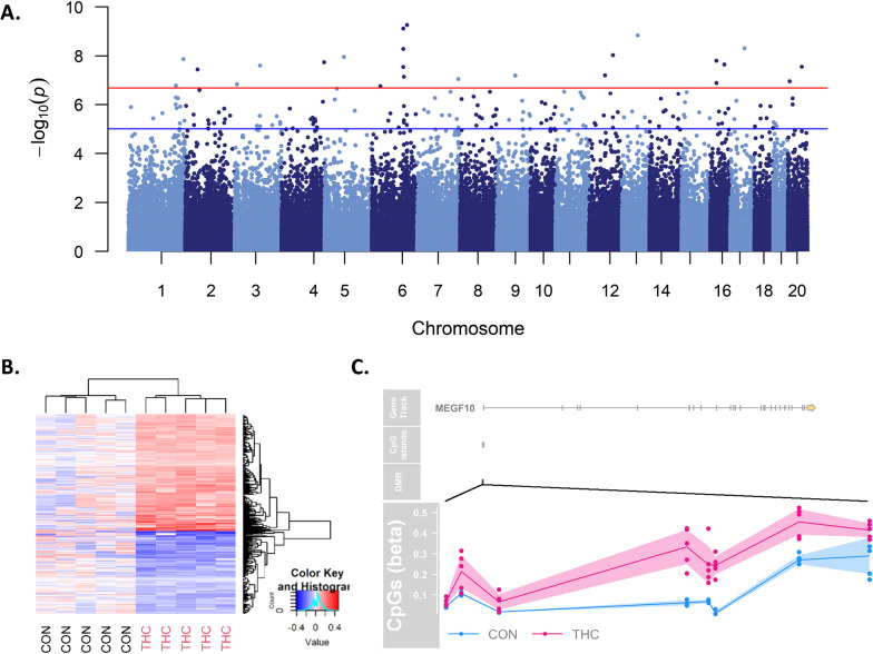 Prenatal delta-9-tetrahydrocannabinol exposure is associated with changes in rhesus macaque DNA methylation enriched for autism genes.