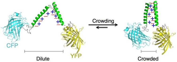 Physicochemical homeostasis in bacteria.