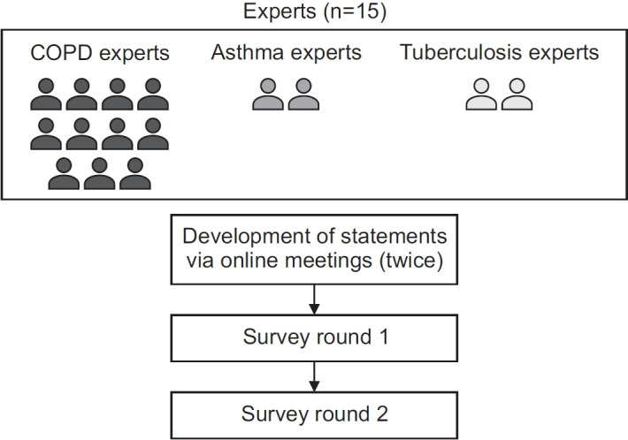 Definitions of Chronic Obstructive Pulmonary Disease and Chronic Obstructive Pulmonary Disease Exacerbation: A Modified Delphi Survey.