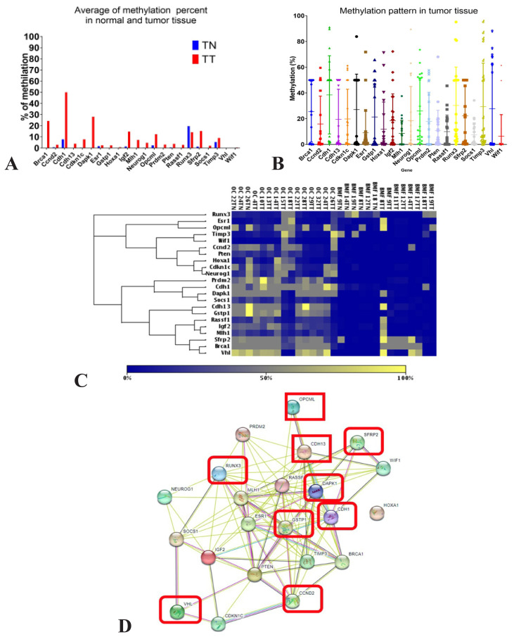 Epigenetic methylation changes: implication as biomarkers in oral and maxillofacial area cancers.