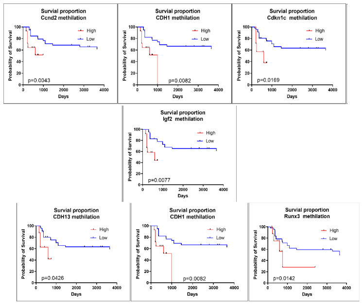 Epigenetic methylation changes: implication as biomarkers in oral and maxillofacial area cancers.