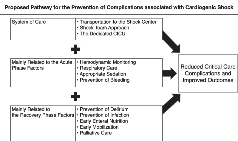 Prevention and management of critical care complications in cardiogenic shock: a narrative review.