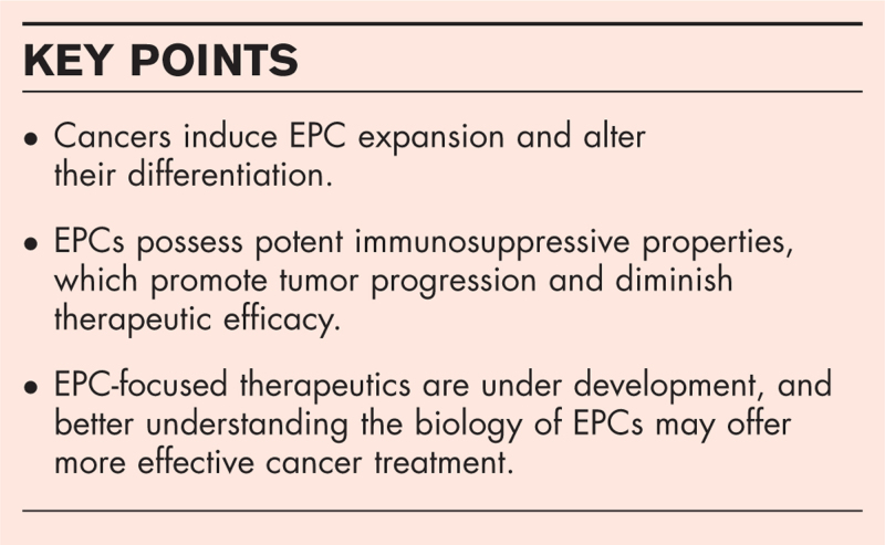 Understanding and targeting erythroid progenitor cells for effective cancer therapy.