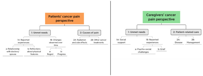 Cancer Pain Experience Through the Lens of Patients and Caregivers: Mixed Methods Social Media Study.