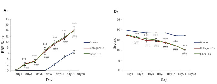 The Effect of Collagen and Fibrin Hydrogels Encapsulated with Adipose Tissue Mesenchymal Stem Cell-Derived Exosomes for Treatment of Spinal Cord Injury in a Rat Model.