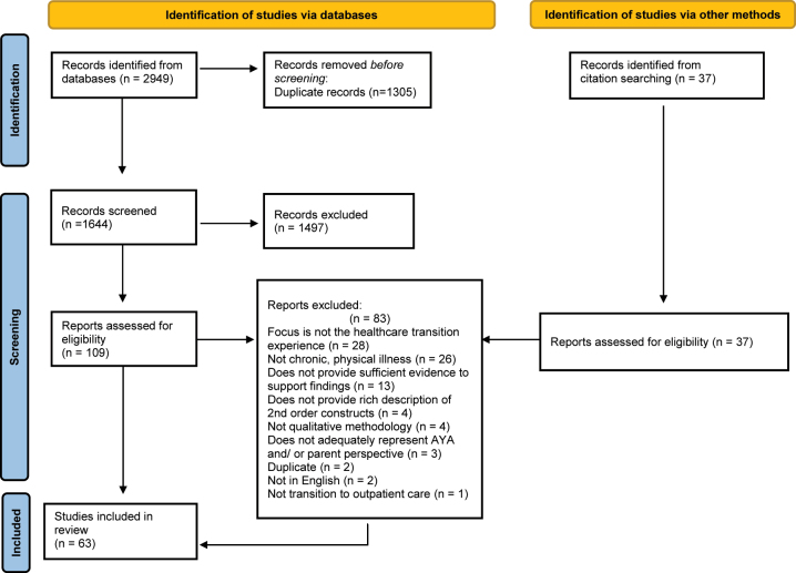 Navigating liminal spaces together: a qualitative metasynthesis of youth and parent experiences of healthcare transition.