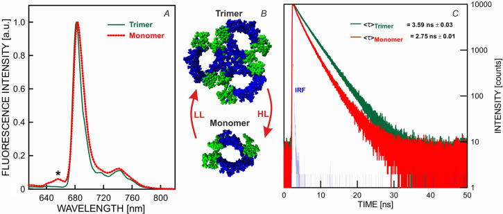 LHCII - a protein like a 'Swiss Army knife' with many mechanisms and functions.