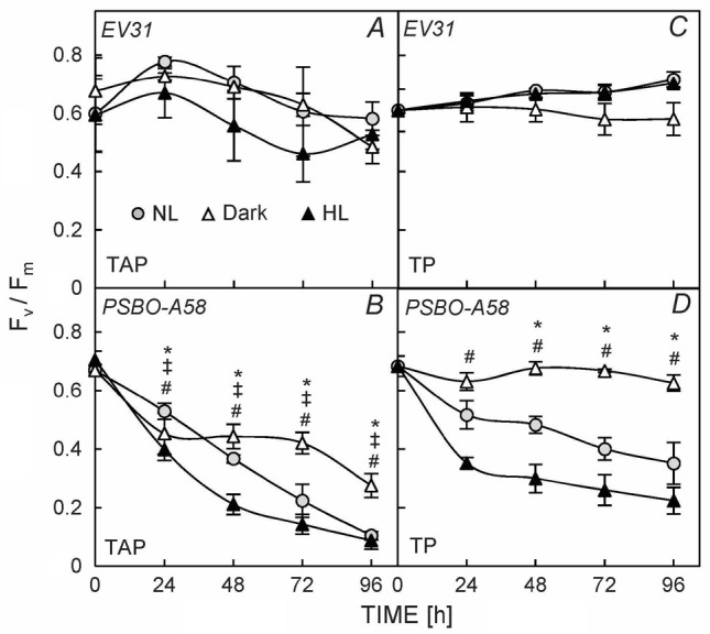 Single-cell microfluidics in combination with chlorophyll <i>a</i> fluorescence measurements to assess the lifetime of the <i>Chlamydomonas</i> PSBO protein.
