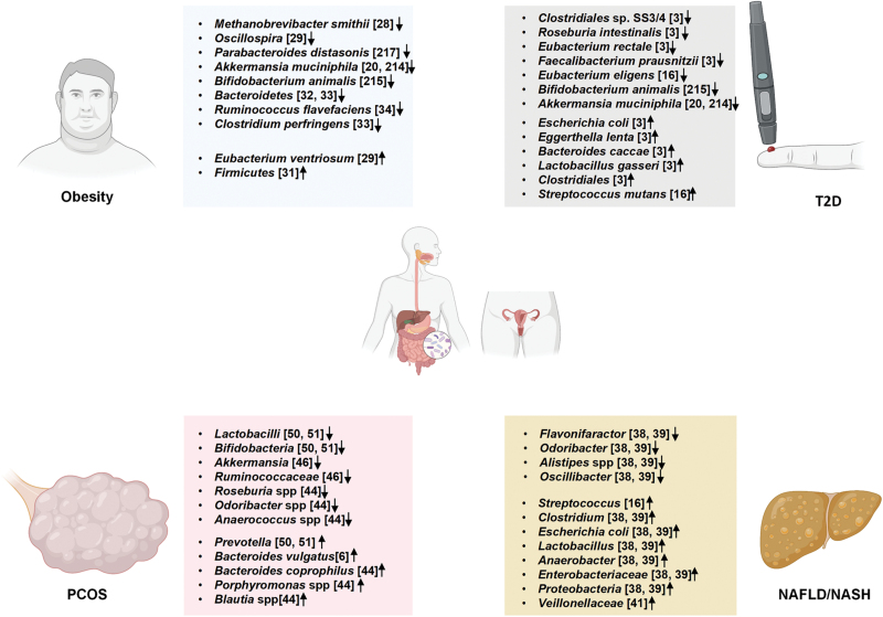 Gut microbiota, immunity, and bile acid metabolism: decoding metabolic disease interactions.