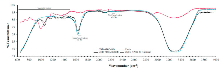 Optimization of Affinity Chromatography Based on Sepharose 4B- chitin for Rapid Purification of <i>Urtica dioica</i> Agglutinin.