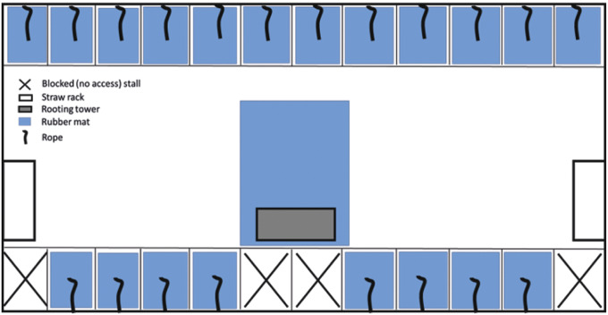 Indicators of improved gestation housing of sows. Part II: Effects on physiological measures, reproductive performance and health of the offspring.
