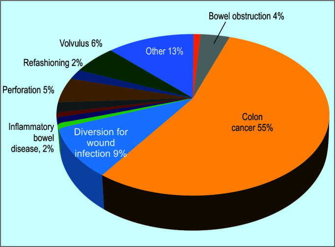 Intestinal Stomas-Current Practice and Challenges: An Institutional Review.