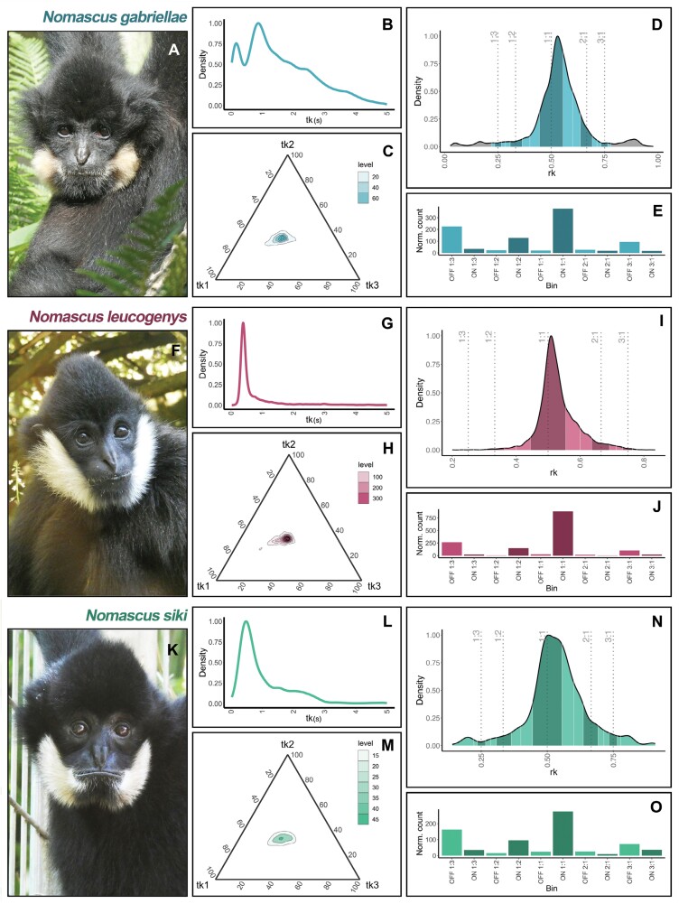 Isochronous singing in 3 crested gibbon species (<i>Nomascus</i> spp.).