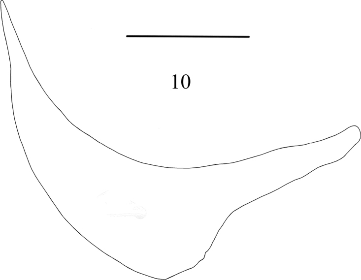 Abstract Image
