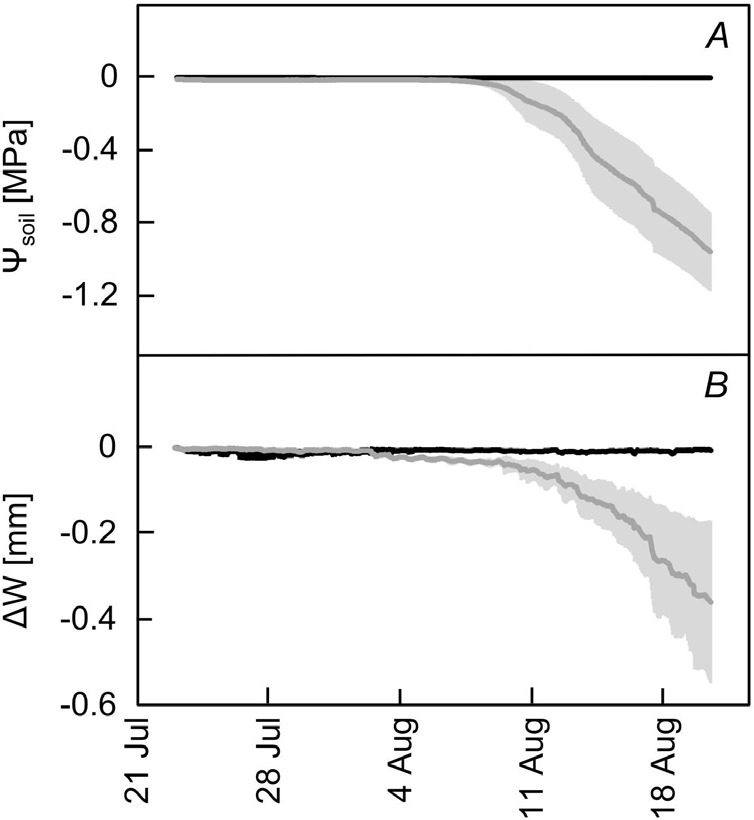 Can seedlings of Norway spruce (<i>Picea abies</i> L. H. Karst.) populations withstand changed climate conditions?