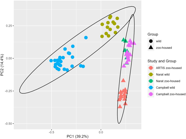 Multiomics characterisation of the zoo-housed gorilla gut microbiome reveals bacterial community compositions shifts, fungal cellulose-degrading, and archaeal methanogenic activity.