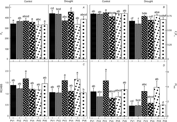Can seedlings of Norway spruce (<i>Picea abies</i> L. H. Karst.) populations withstand changed climate conditions?