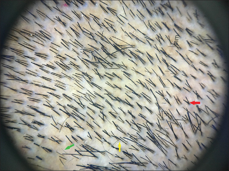 Abstract Image