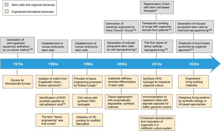 Engineered biomaterials in stem cell-based regenerative medicine.