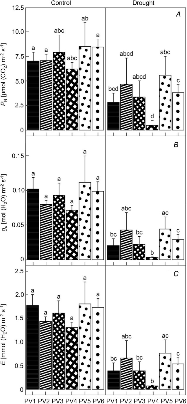 Can seedlings of Norway spruce (<i>Picea abies</i> L. H. Karst.) populations withstand changed climate conditions?