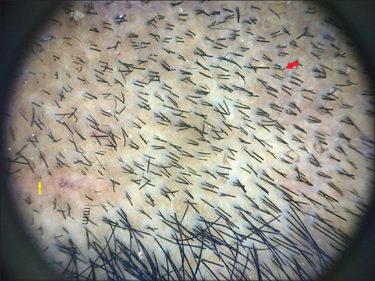 Abstract Image
