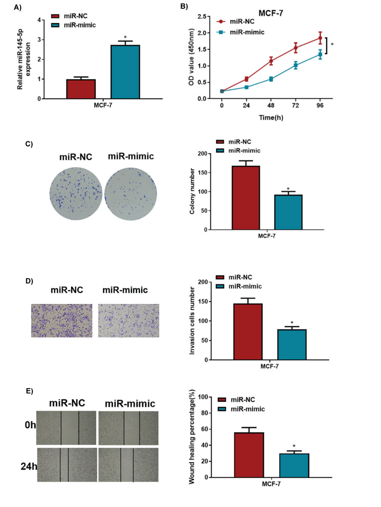 <i>MiRNA-145-5p</i> Restrains Malignant Behaviors of Breast Cancer Cells Via Downregulating <i>H2AFX</i> Expression.