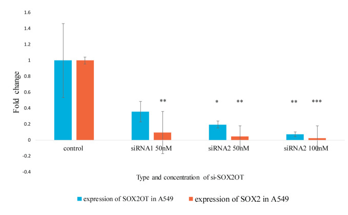 SOX2 Overlapping Transcript (<i>SOX2-OT</i>) Enhances the Lung Cancer Malignancy Through Interaction with <i>miR-194-5p/</i>SOX5 Axis.