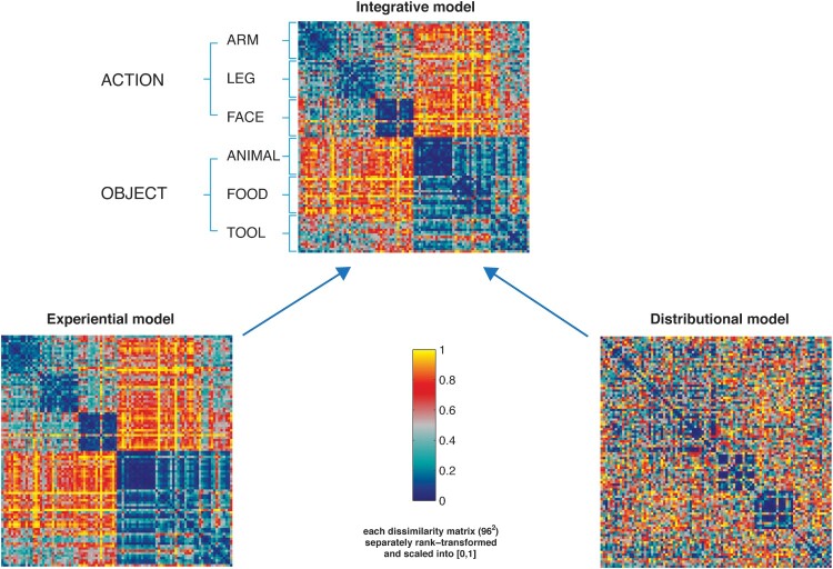 Experientially-grounded and distributional semantic vectors uncover dissociable representations of conceptual categories.