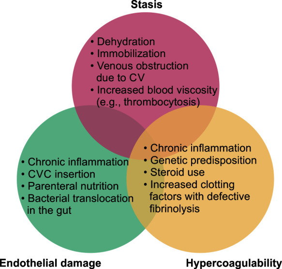 Standard and Extended Thromboprophylaxis in Patients with Inflammatory Bowel Disease: A Literature Review.