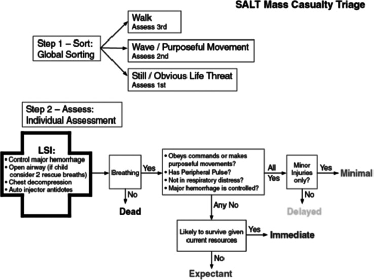 Development and validation of SALT Triage method to facilitate the identification and classification of patients in Mass Casualty Incidents.