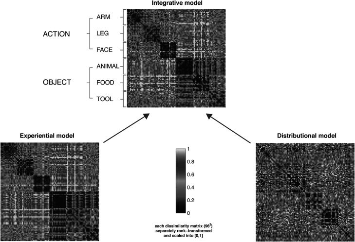 Experientially-grounded and distributional semantic vectors uncover dissociable representations of conceptual categories.