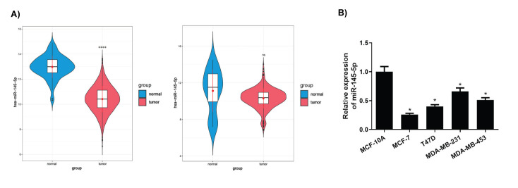 <i>MiRNA-145-5p</i> Restrains Malignant Behaviors of Breast Cancer Cells Via Downregulating <i>H2AFX</i> Expression.