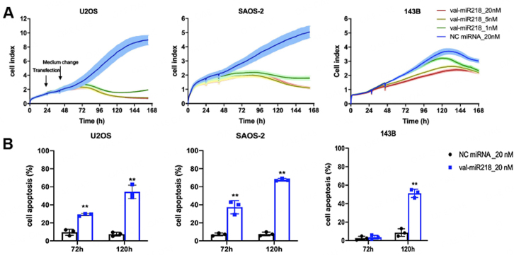 Inhibition of osteosarcoma by European Mistletoe derived val-miR218.