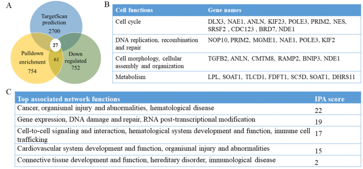 Inhibition of osteosarcoma by European Mistletoe derived val-miR218.