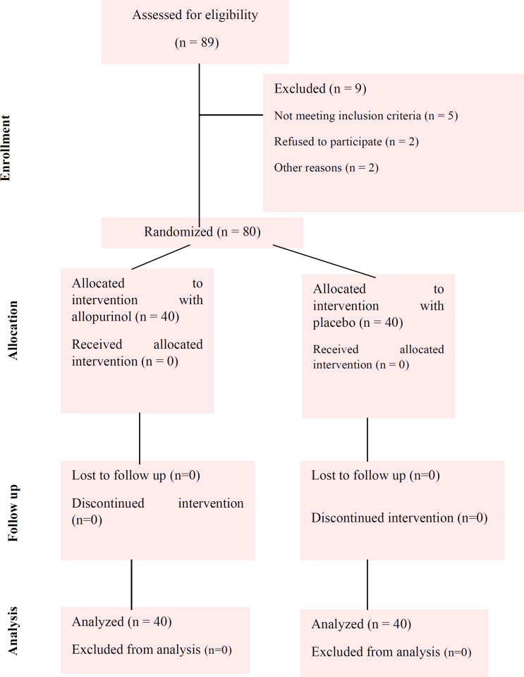 The Effect of High-dose Allopurinol Pretreatment on Inflammatory Biomarkers and Post-revascularization Coronary Blood Flow in Non-STEMI Patients: A Randomized Double Blind Clinical Trial.