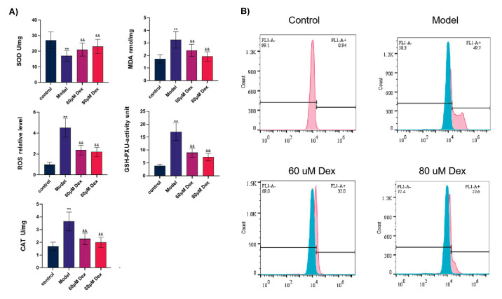 Dexmedetomidine Suppresses Glutamate-Stimulated Neuronal Injury Via MicroRNA-433/Janus Kinase 2/Signal Transducer and Activator of Transcription 3 Pathway.