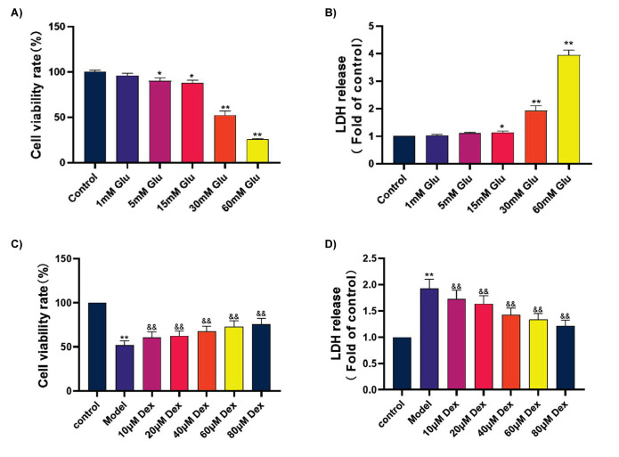 Dexmedetomidine Suppresses Glutamate-Stimulated Neuronal Injury Via MicroRNA-433/Janus Kinase 2/Signal Transducer and Activator of Transcription 3 Pathway.