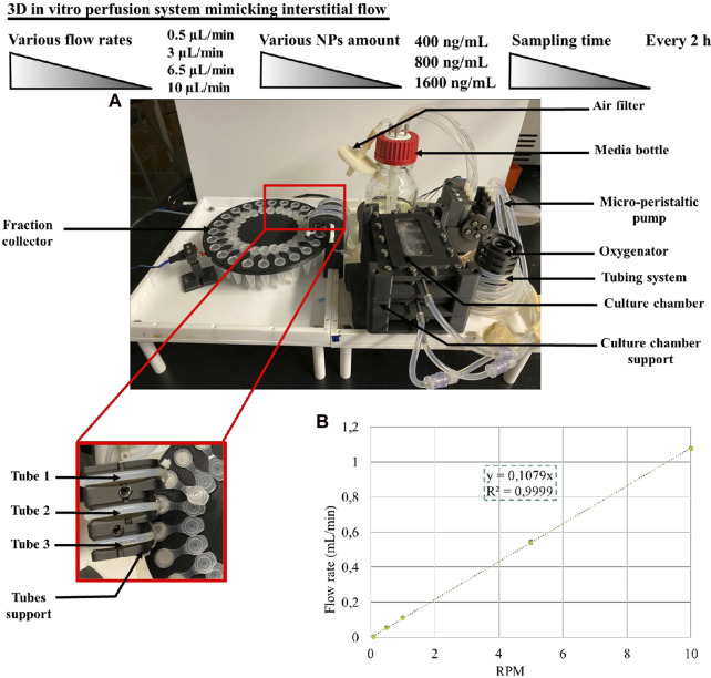 Impact of simulated brain interstitial fluid flow on the chemokine CXCL12 release from an alginate-based hydrogel in a new 3D <i>in vitro</i> model.