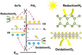 Enhancing solar-to-hydrogen efficiency with an S-scheme GaTe/PtS2 van der Waals heterojunction with high light absorption†