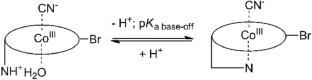 meso-Bromination of cyano- and aquacobalamins facilitates their processing into Co(II)-species by glutathione