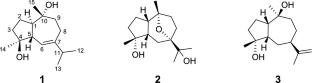 Arginase inhibitory activities of guaiane sesquiterpenoids from Curcuma comosa rhizomes